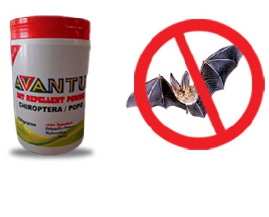 Bat Repellent Powder Africote Limited